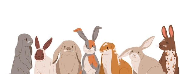 Cute rabbits and hares with long ears isolated on white background. Banner with border of sweet farm animals. Group portrait of different happy funny bunnies. Flat vector illustration.