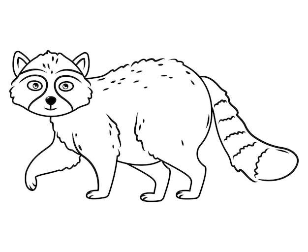 Cute raccoon Cartoon animal design Flat vector outline illustration isolated on white background