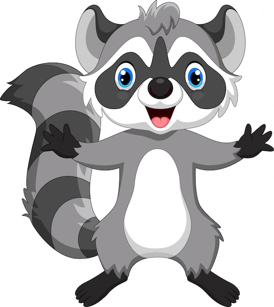 Cute raccoon cartoon