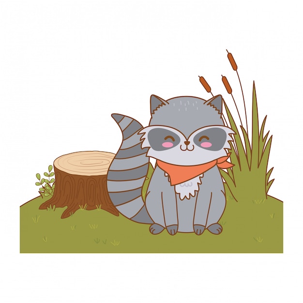 Cute raccoon in the field woodland character