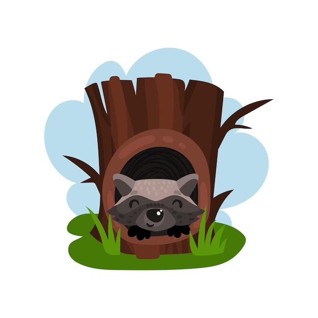 Cute raccoon sitting in hollow of tree hollowed out old tree and animal inside vector Illustration on a white background