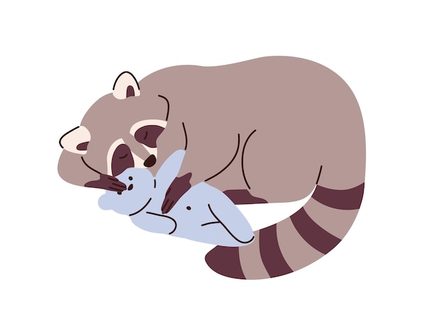 Cute raccoon sleeping, relaxing with soft toy. Sleepy racoon dreaming, napping with teddy bear. Adorable lovely sweet animal asleep. Flat vector illustration isolated on white background