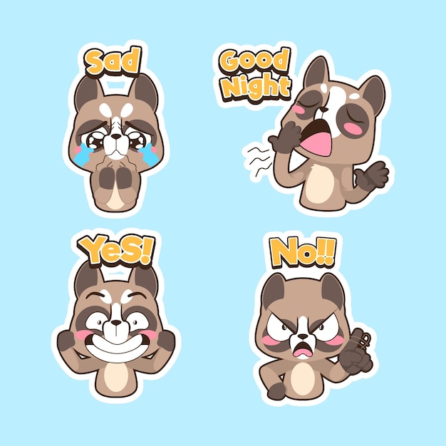 Cute raccoon vector set raccoon illustration