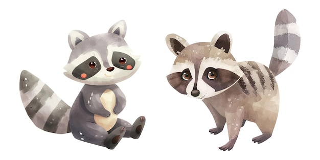 Vector cute raccoon watercolour vector illustration 21