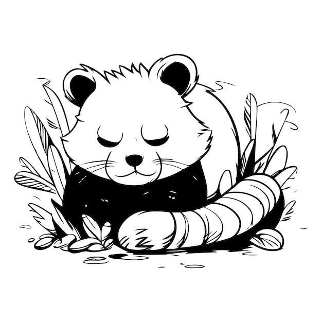 Cute red panda Vector illustration of a cute animal