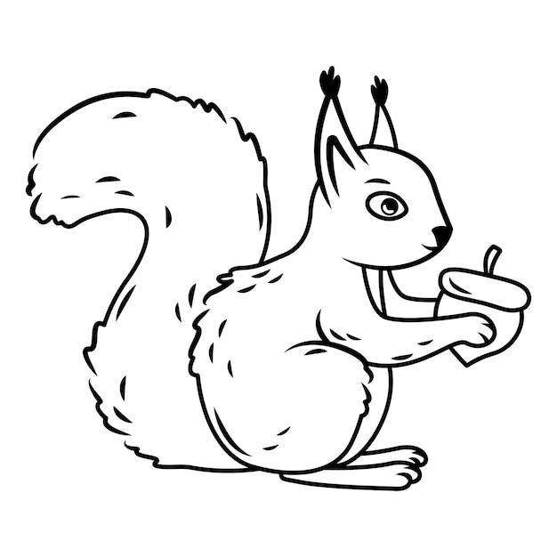 Vector a cute red squirrel sits like a nut in its paws outline image vector illustration forest animals