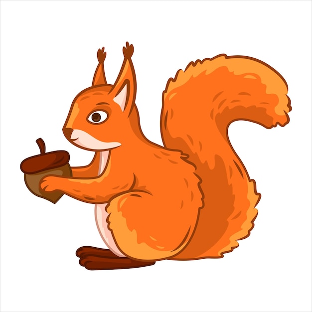 A cute red squirrel sits like a nut on a white background Vector illustration with forest animals