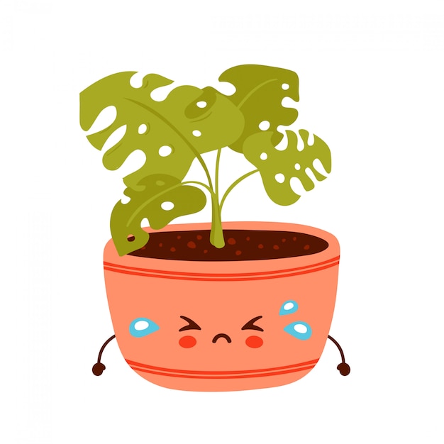 Vector cute sad funny monstera plant in pot. vector cartoon character illustration design.isolated