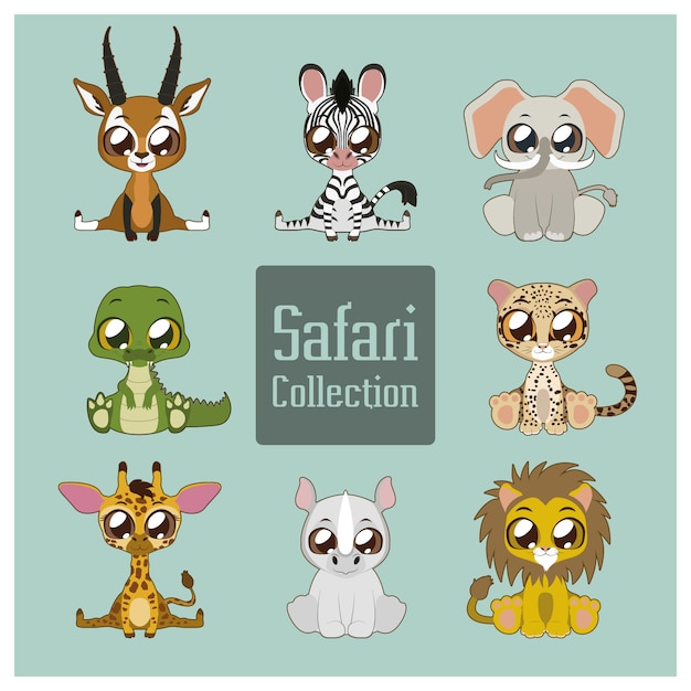 Cute safari collection