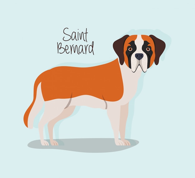 Cute saint bernard dog pet character