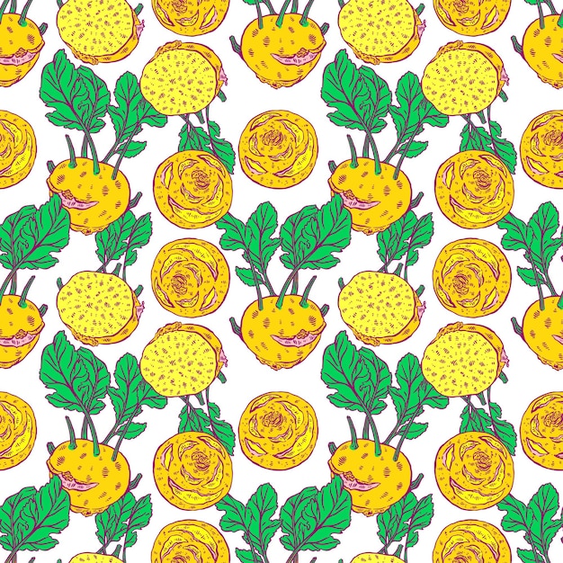 Cute seamless bright color pattern of ripe kohlrabi. hand-drawn illustration