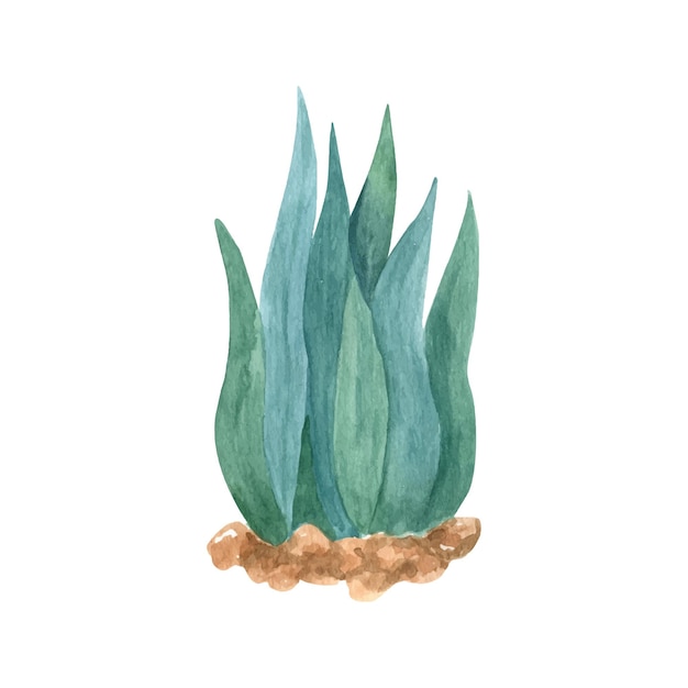 Cute seaweed in summer set Hand drawn watercolor illustration