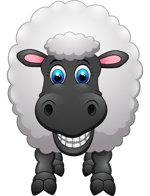 Cute sheep cartoon