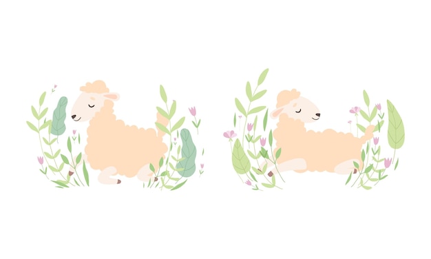 Vector cute sheep resting and relaxing in meadow flowers set adorable little fluffy lamb farm animal in