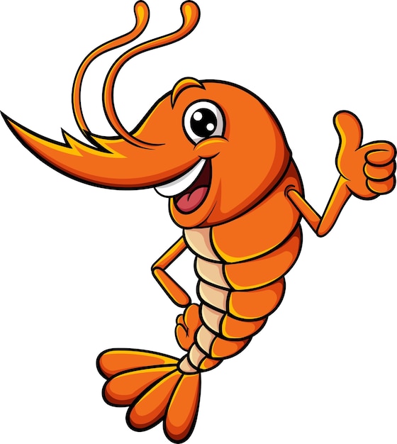 Cute shrimp cartoon giving thumb up