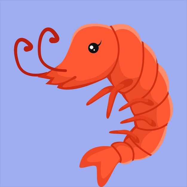 Cute Shrimp Character Design Illustration