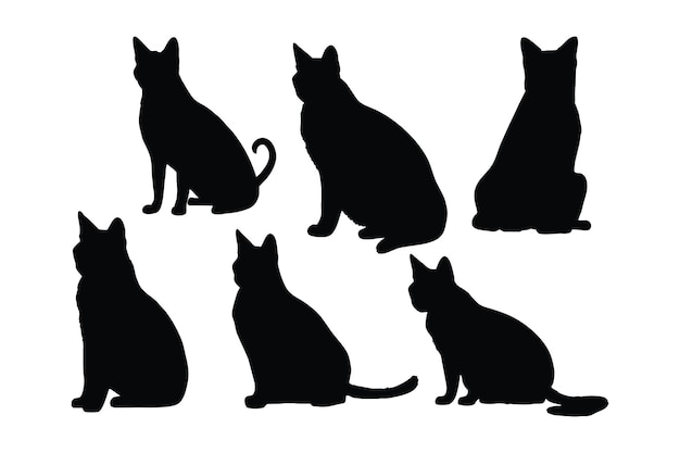 Cute Siamese cats silhouette bundle design Domestic cats sitting in different positions Cat full body silhouette collection Cute cats and feline sitting silhouettes on a white background