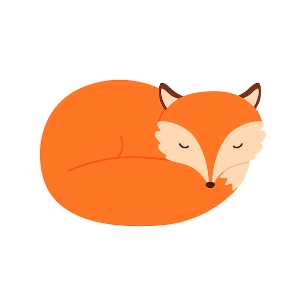 Cute sleeping fox Vector illustration isolated on white background