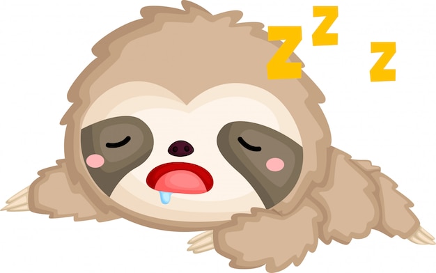 A of a cute sleeping sloth