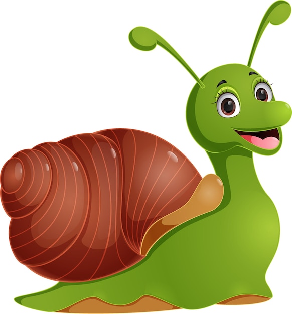 Cute snail cartoon on white background