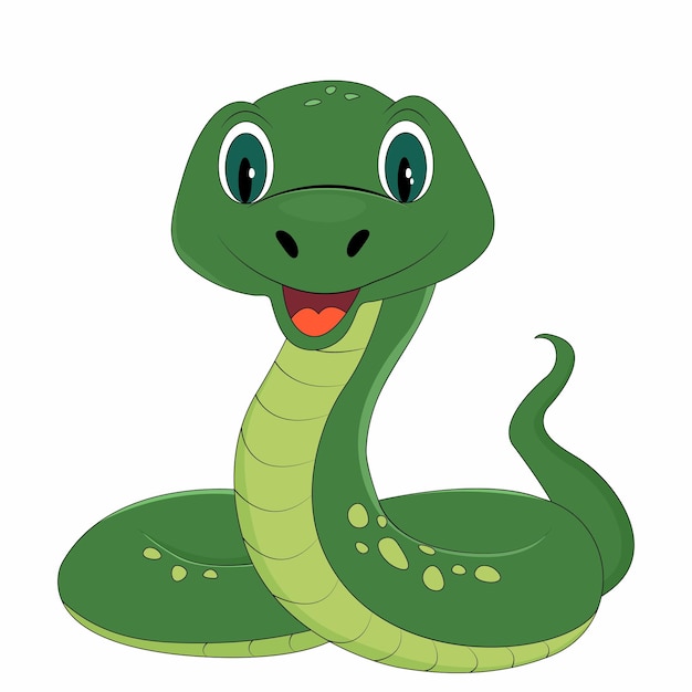 cute snake on white background