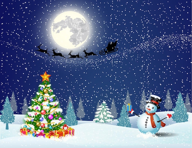 Cute snowman on the background of night sky