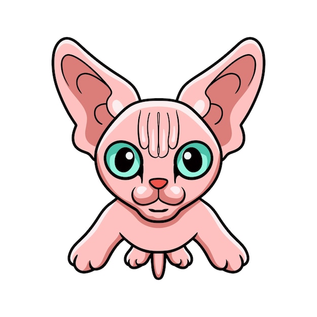 Cute sphynx cat cartoon posing