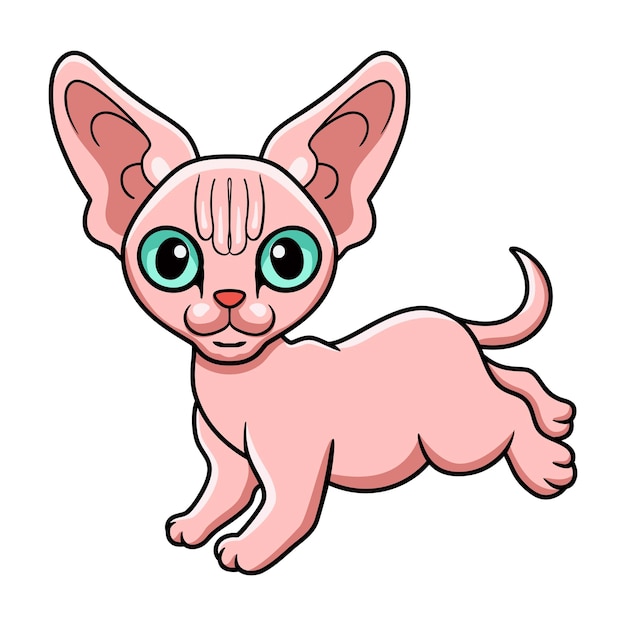 Cute sphynx cat cartoon walking