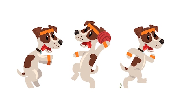 Vector cute sportive jack russell terrier running and playing ball vector set