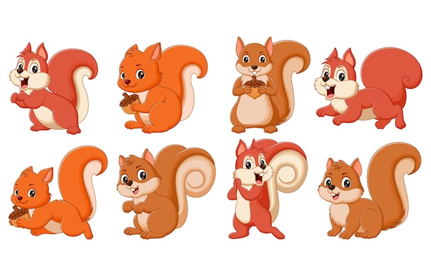 Vector cute squirrel cartoon collection set animal nature icon concept isolated premium vector