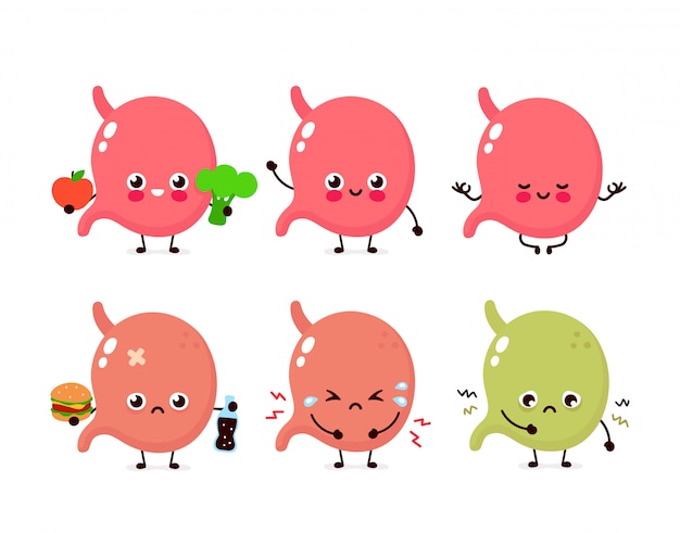 Cute stomach set. Healthy and unhealthy human organ 