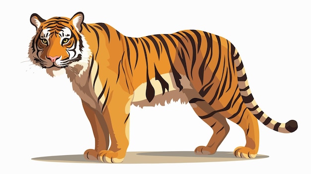 Vector cute tiger cartoon vector illustration for childrens book cover design