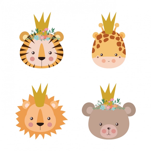 Cute tiger giraffe lion and bear cartoon design, Animal zoo life nature character childhood and adorable theme Vector illustration