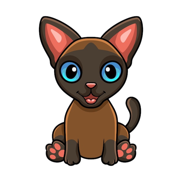 Cute tonkinese cat cartoon sitting