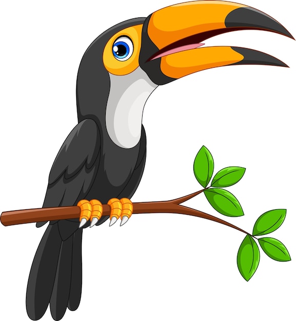 Cute toucan sitting on tree branch