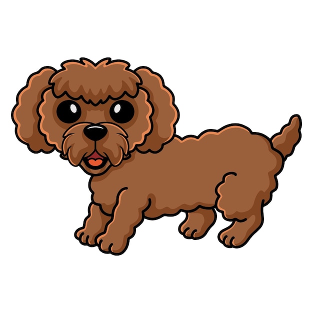 Cute toy poodle dog cartoon