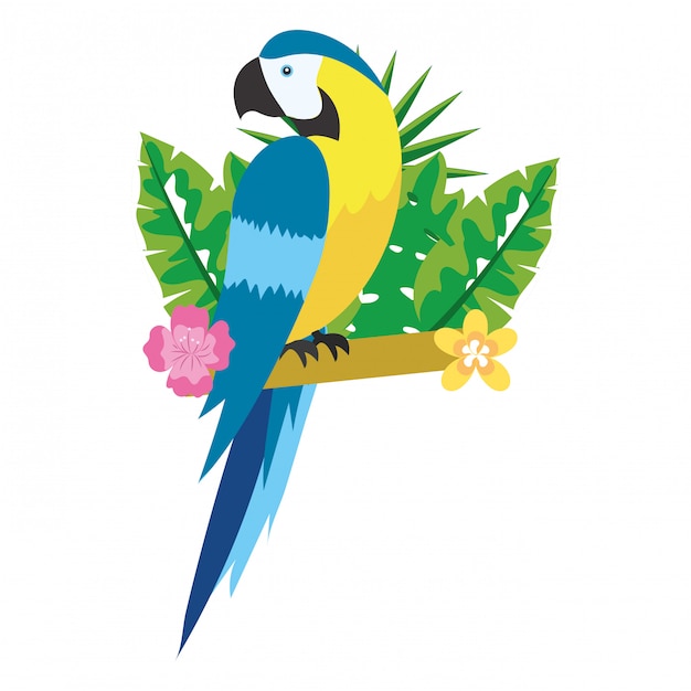 Cute tropical parrot cartoon