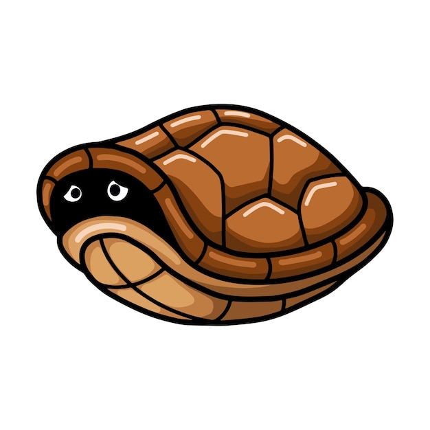 Cute turtle cartoon hides in its shell