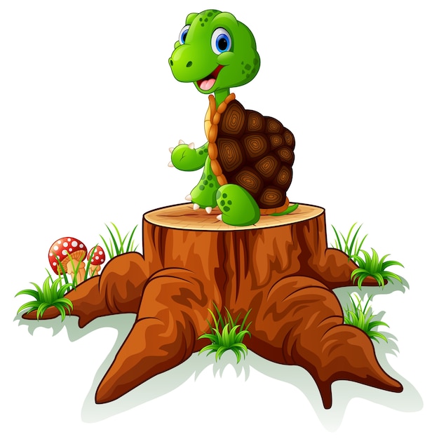 Cute turtle sit on tree stump