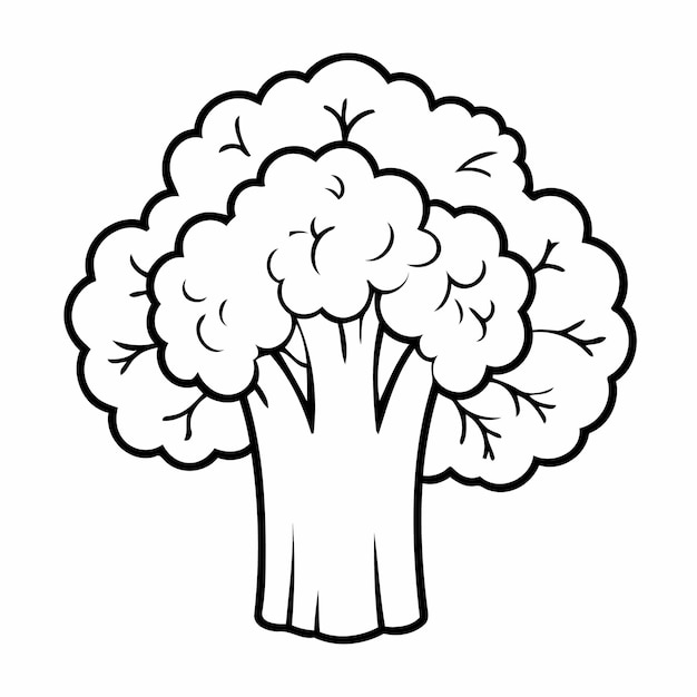 Vector cute vector illustration broccoli drawing for children page