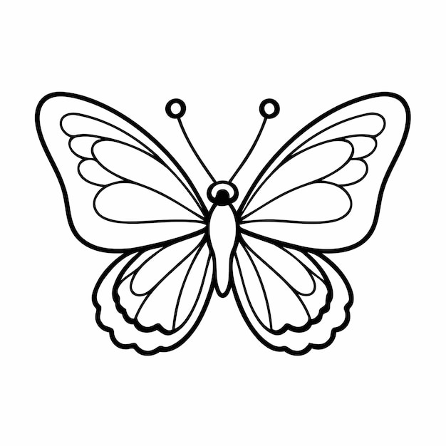 Cute vector illustration butterfly doodle for children worksheet