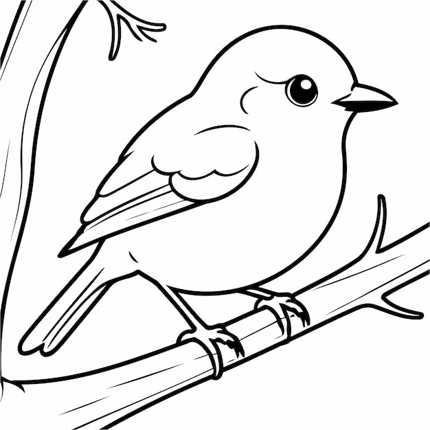 Cute vector illustration Robin doodle for colouring page