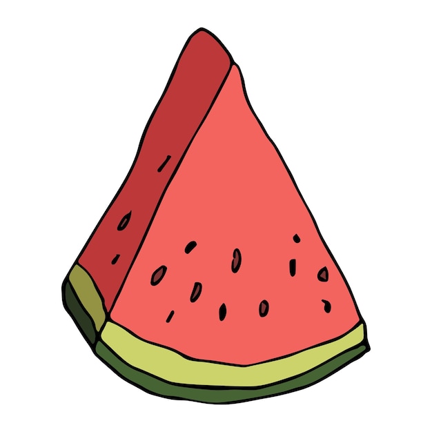 Cute vector watermelon clipart Hand drawn watermelon slice icon Fruit illustration