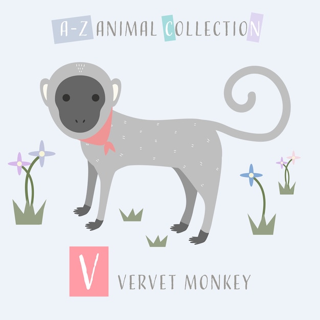 Cute vervet monkey cartoon doodle animal alphabet V