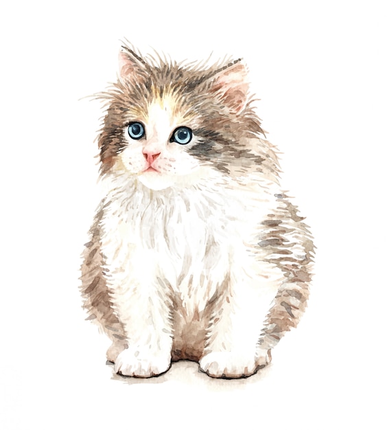 Cute Watercolor Cat illustration. T-shirt print.