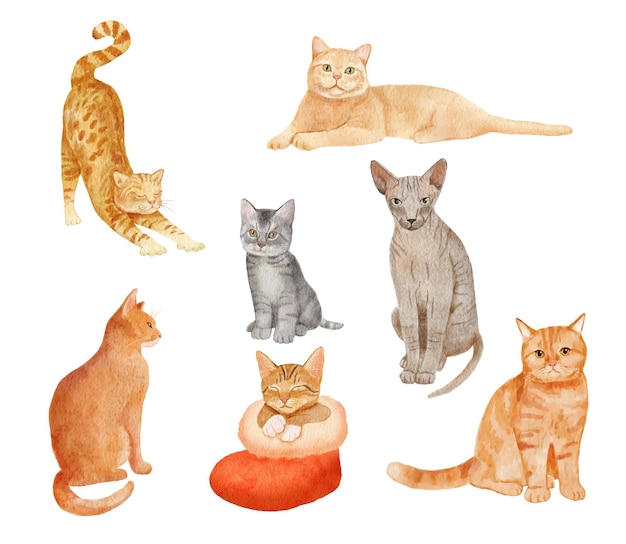 Cute watercolor cats and kitten isolated on white.