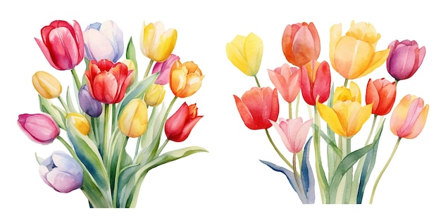 Cute Watercolor tulips