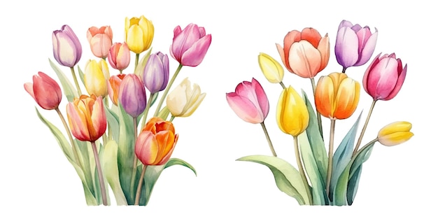 Cute Watercolor tulips