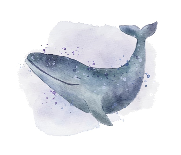 cute watercolor whale hand drawn illustration