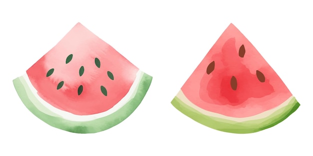 cute watermelon watercolor vector illustration